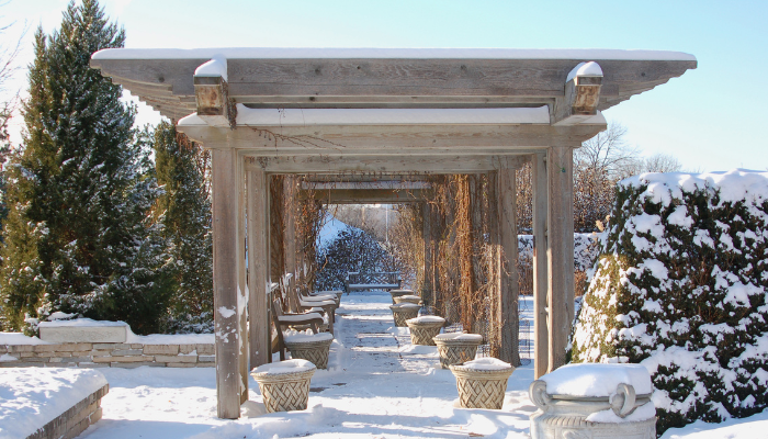 wood pergola over walk way in snow